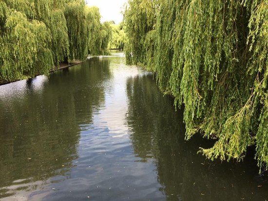 Wardown Park
